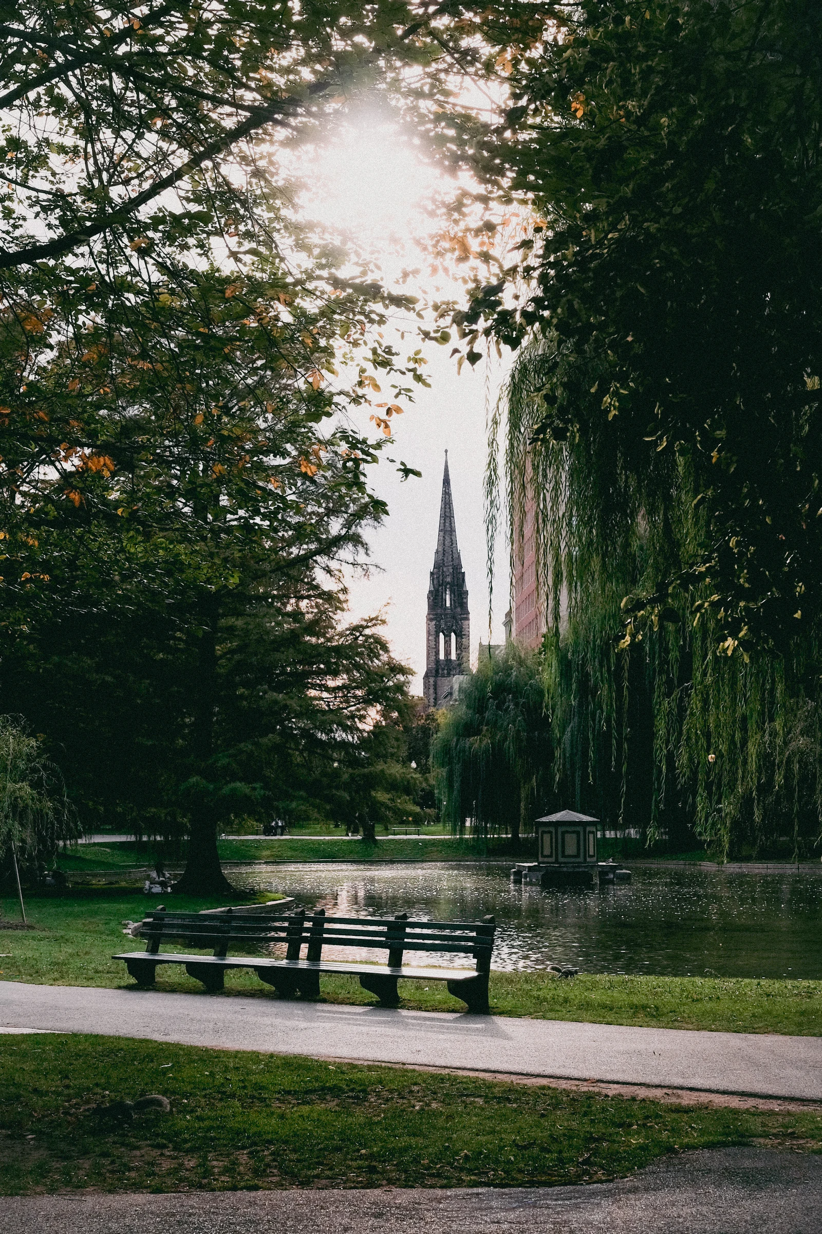 Church steeple rising above the Boston Public Garden