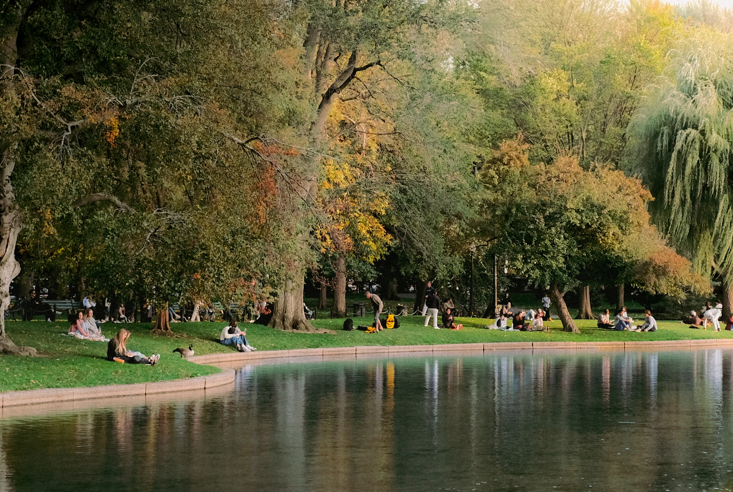 People sitting along the water in the Public Garden