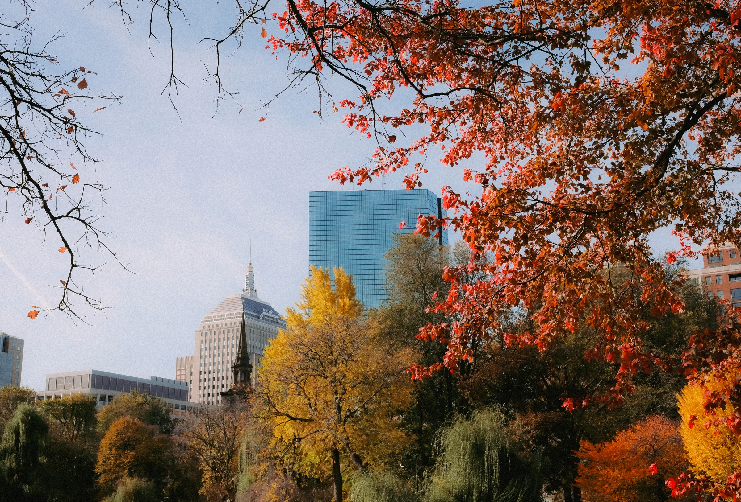 Red autumn leaves framing a garden view
